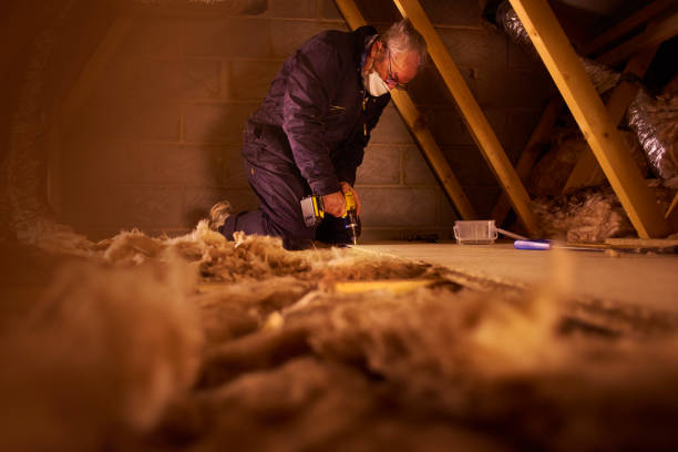 Best Energy-efficient Insulation  in Spruce Pine, NC